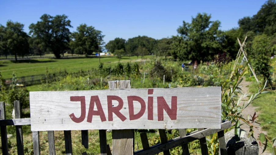 Lausanne s'engage pour l'agriculture urbaine et durable