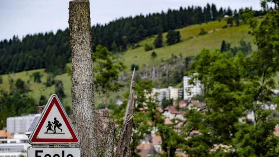 Aide renforcée pour la biodiversité à La Chaux-de-Fonds après la tempête Aide renforcée pour la biodiversité à La Chaux-de-Fonds après la tempête