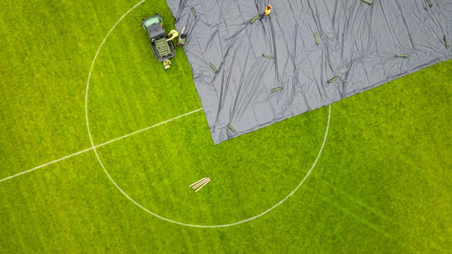 Alerte sur l'expansion du scarabée japonais en Suisse : mesures d'urgence