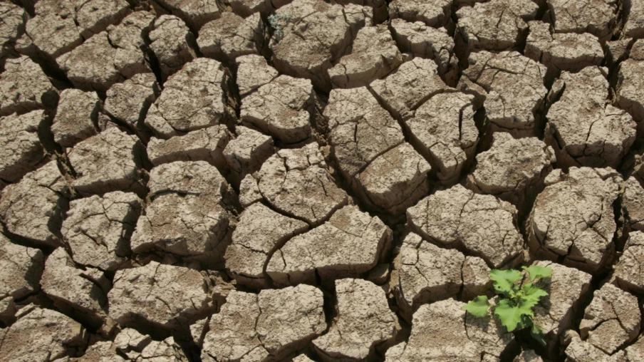 Embûches pour la loi climat 2040 au Parlement européen Embûches pour la loi climat 2040 au Parlement européen