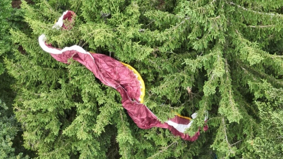 Parapentiste coincé dans un arbre à Zoug pendant 9 heures sans blessure
