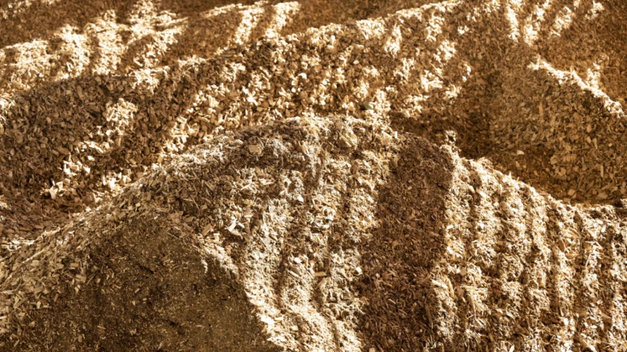 Récolte de bois en Suisse chute pour la 2e année consécutive en 2024