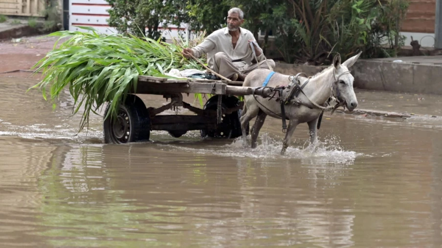 Mousson au Pakistan : 54 morts en 24h et 180 depuis juin