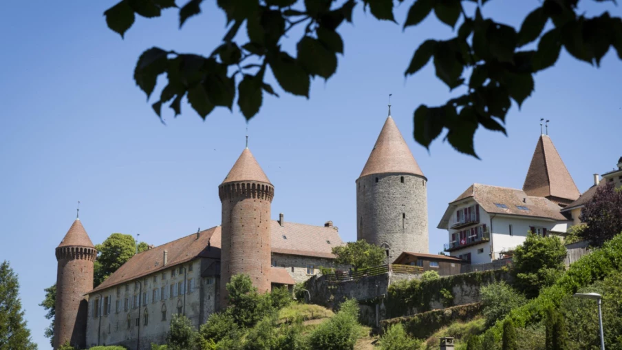 Concours de Moutarde de Bénichon 2023 à Fribourg : Saveurs et Traditions Concours de Moutarde de Bénichon 2023 à Fribourg : Saveurs et Traditions
