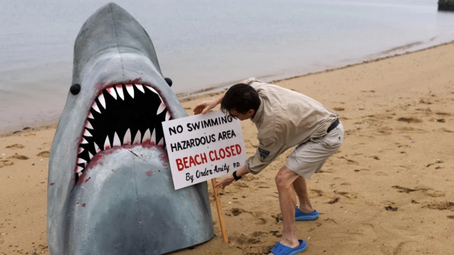 Un enfant mordu par un requin aux Marquises en Polynésie française Un enfant mordu par un requin aux Marquises en Polynésie française
