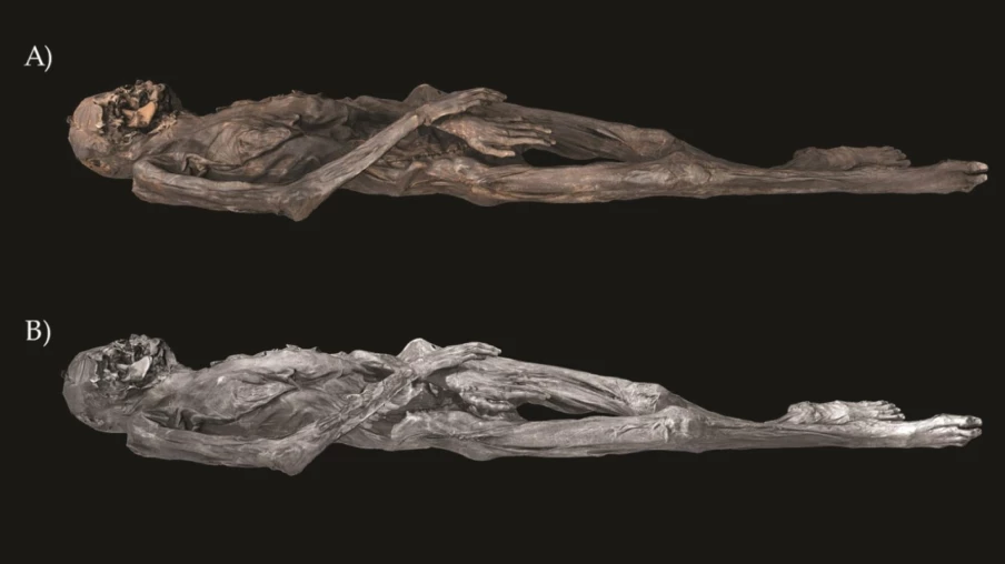Tatouages préhistoriques: révélation sur la momie glaciaire sibérienne Tatouages préhistoriques: révélation sur la momie glaciaire sibérienne