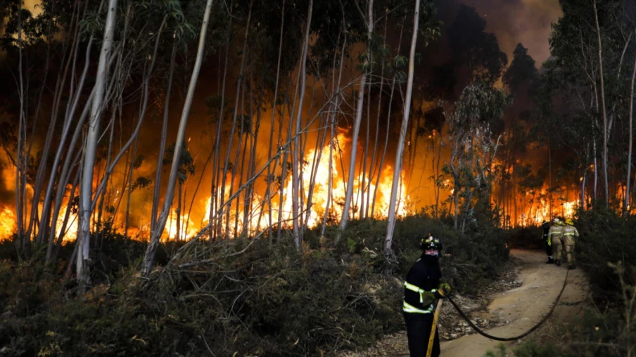 Incendies stabilisés au Portugal et Espagne après ravages majeurs Incendies stabilisés au Portugal et Espagne après ravages majeurs