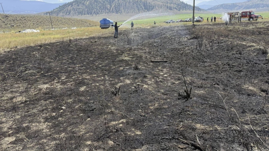 Incendie au Canada causé par un poisson tombé du ciel