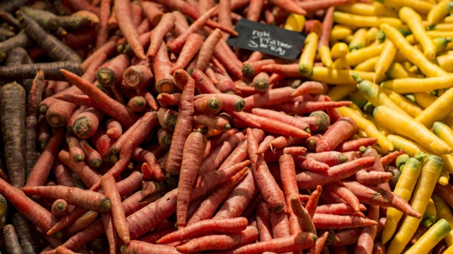 Des bactéries prolongent la conservation des carottes