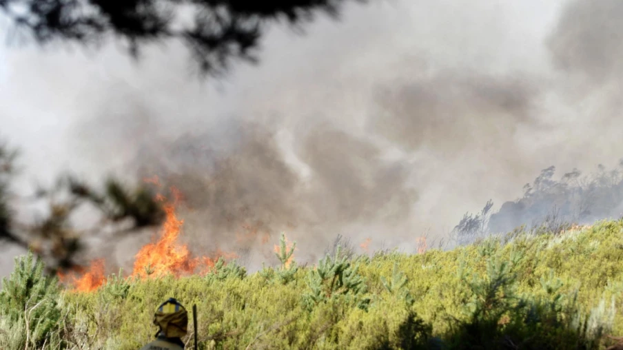 Incendies en Espagne : nord-ouest et ouest en feu, armée mobilisée