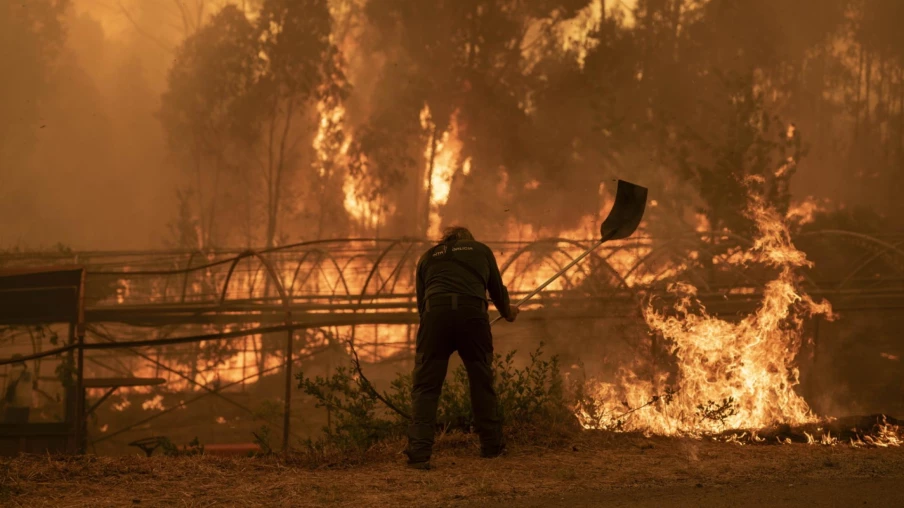 Incendies en Espagne : 343 000 hectares brûlés, nouveau record
