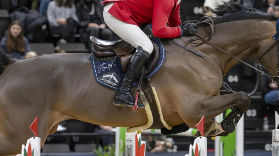 Pius Schwizer suspendu du cadre élite de saut d'obstacles en Suisse