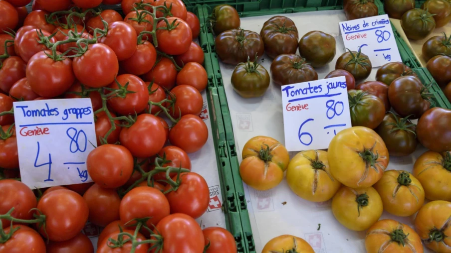 Festi'Terroir au parc des Bastions : marché du terroir genevois