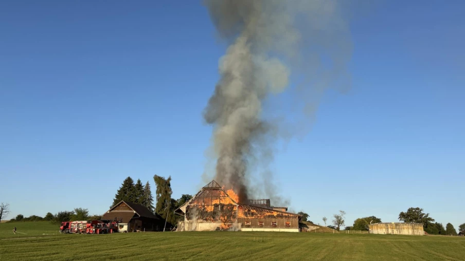 Guin (FR) : incendie détruit le rural d'une ferme, 15 veaux morts