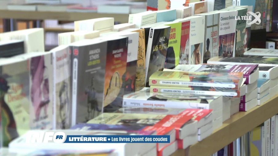 Rentrée littéraire : les auteurs suisses tirent leur épingle du jeu