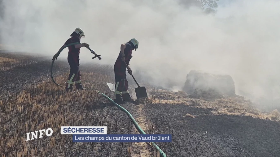 Sécheresse dans le Nord vaudois : sept incendies de champ en quelques jours