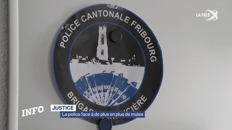 Des mules recrutées en quelques clics sur les réseaux sociaux